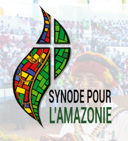 Dossier : Synode sur l'Amazonie - 2019