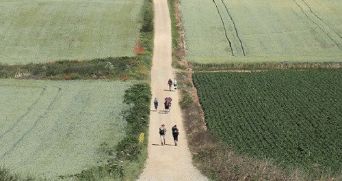 Pèlerinages et marches pèlerines