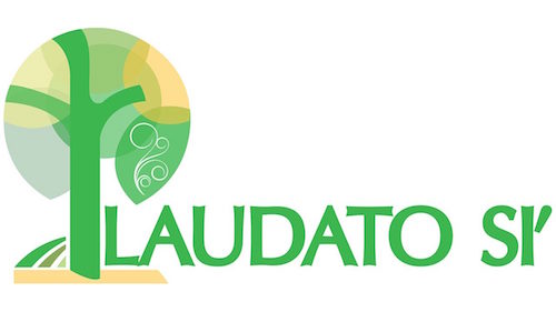 Lancement de la plateforme Laudato Si’, sept ans pour la maison commune